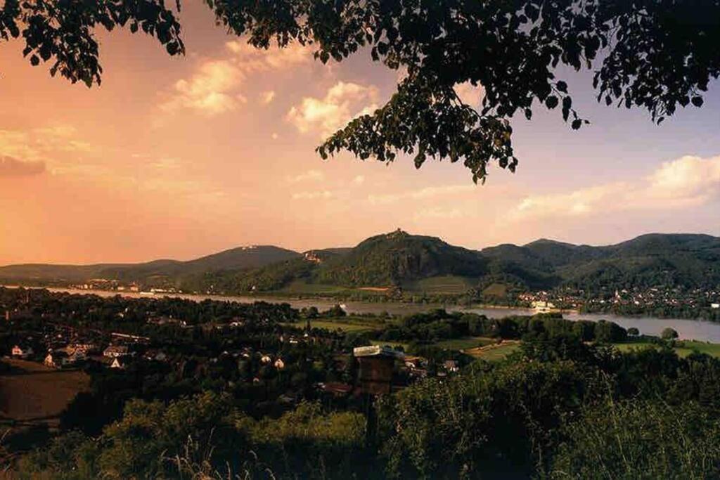 Ferienwohnung In Rheinnaehe Rheinbreitbach Εξωτερικό φωτογραφία